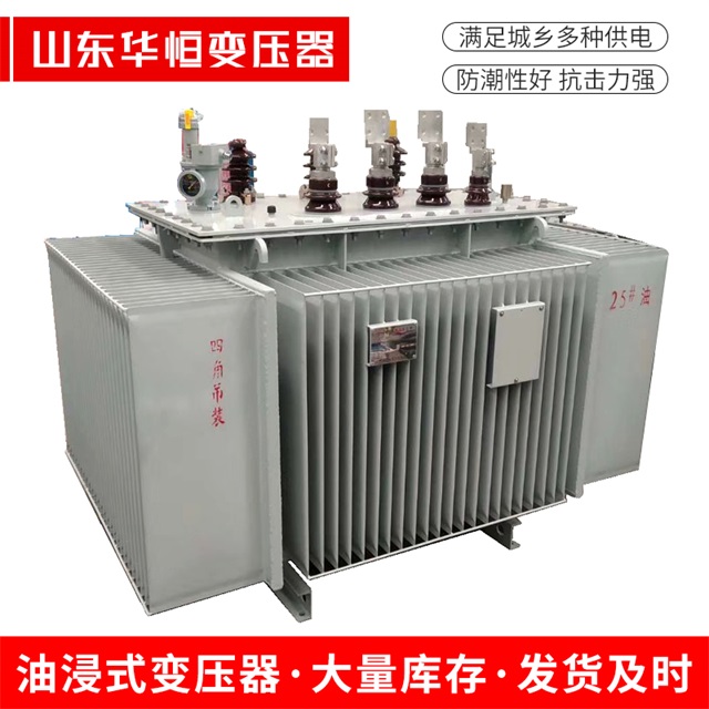 S13-10000/35阳新阳新阳新电力变压器厂家