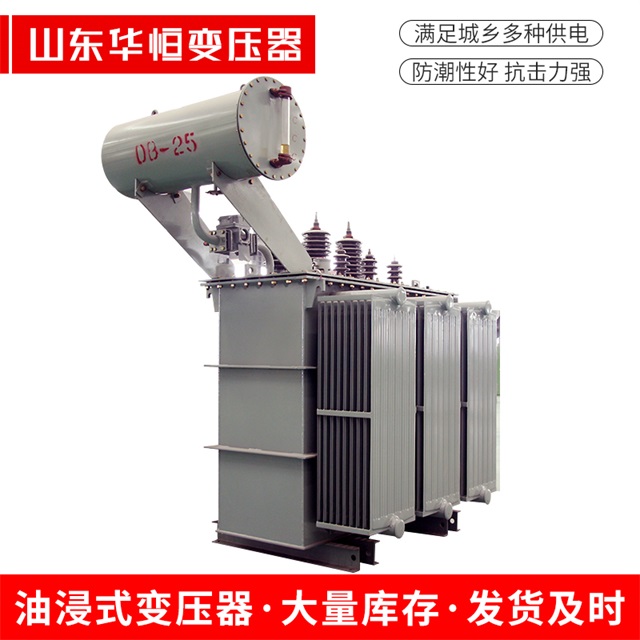 S11-10000/35阳新阳新阳新电力变压器厂家