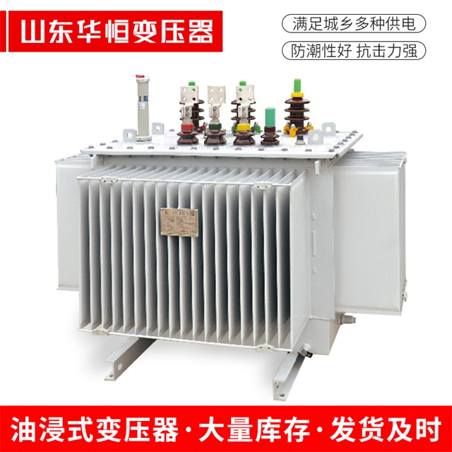 S13-10000/35阳新阳新阳新电力变压器